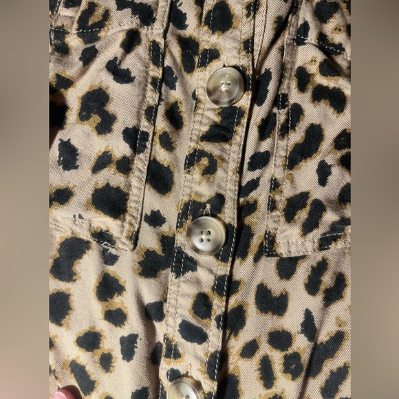 Express - Picture 6 of 7